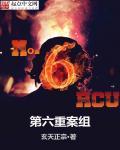 重案第六组第二部