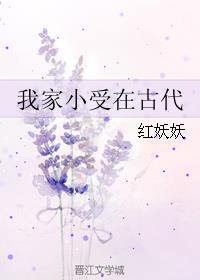 我家小受在古代TXT微盘