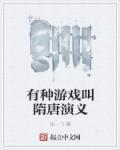 隋唐演义说的什么意思