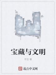 宝藏与文明在线阅读