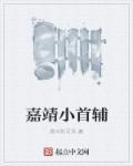 嘉靖年间首辅
