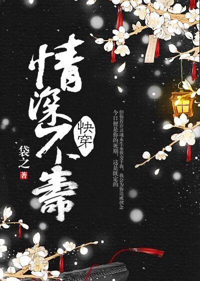 情深不寿无防盗袋
