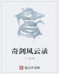 剑雨风云录动漫