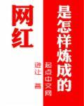 网红是怎样练成的