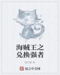 海贼王之时代最强者