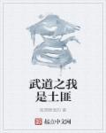 武道无敌从土匪开始