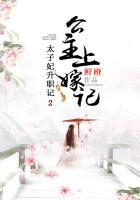 太子妃升职记2公主上嫁记