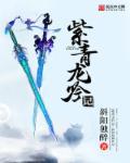 紫涵青龙