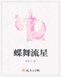 流星.蝴蝶.剑(全2册)