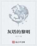 灰塔的黎明免费阅读