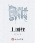 上国柱肩章