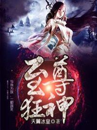 至尊狂神笔趣阁无广告