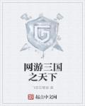 网游三国之天下无双杨天