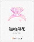 荷花远看的样子简单