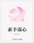 素手素的意思