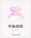 弹痕类似的有军旅爱情