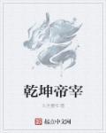 六帝乾坤茶叶