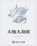 天地劫机制