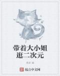 我家大小姐是二次元