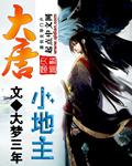 大唐小地主txt烛