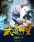 武道神皇主角叶辰