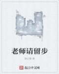 老师请留步秦轩书评