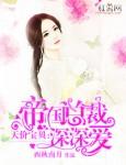 天价宝贝帝少疼妻入骨免费阅读