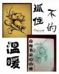 抓不住的时光 唯美语录