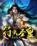 符武圣皇阅读