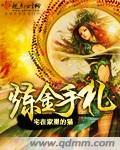 炼金手记起点
