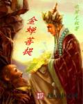 金蝉菩提子为何要三圈一圈