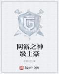 网游之神级土豪动漫免费观看