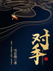 对手原著