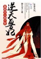 逆天兽妃皇叔大人劫个婚作者