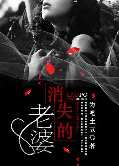 电影消失的妻子解读