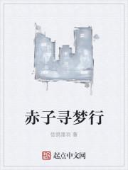 鉴赏追梦赤子心