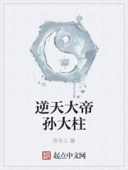 逆天大帝林风