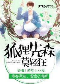 狐狸先生请别浪