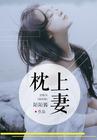 枕上妻许淮南