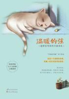温暖的弦歌曲大全