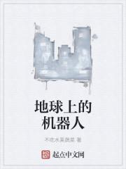 机器人袭击地球