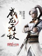 威龙无敌航母