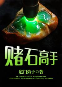 免费阅读赌石高手