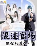混迹官场海量