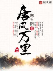 唐风万里展览门票价格