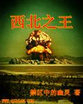 西北王1917
