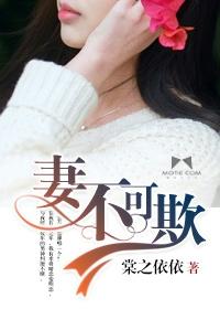 妻不可欺大结局