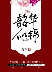 韶华若锦电视剧