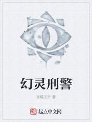 幻灵式的图片