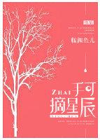 手可摘星辰前一句是什么